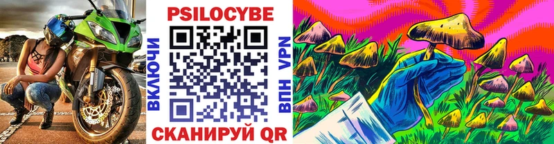 Псилоцибиновые грибы GOLDEN TEACHER  Андреаполь 